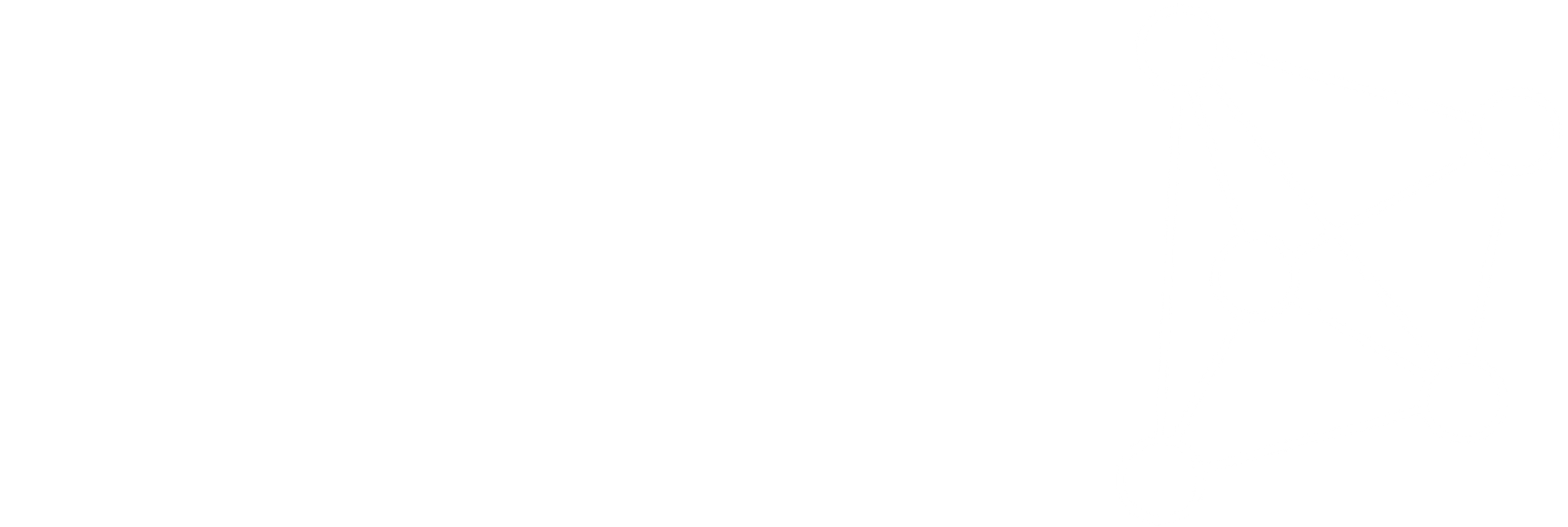 Execos